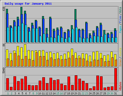 Daily usage for January 2011