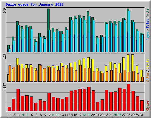 Daily usage for January 2020