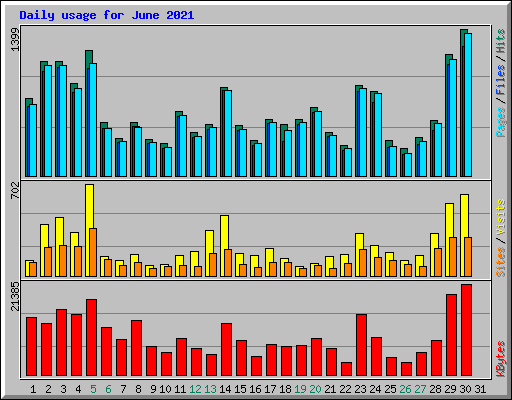 Daily usage for June 2021