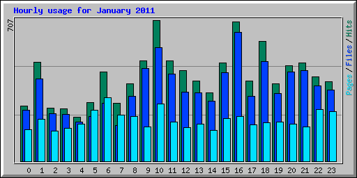 Hourly usage for January 2011