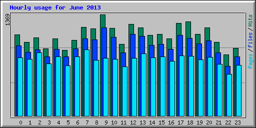 Hourly usage for June 2013