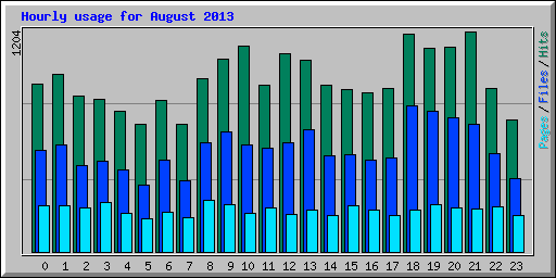 Hourly usage for August 2013