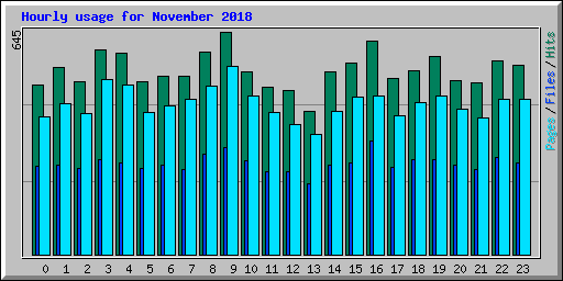 Hourly usage for November 2018