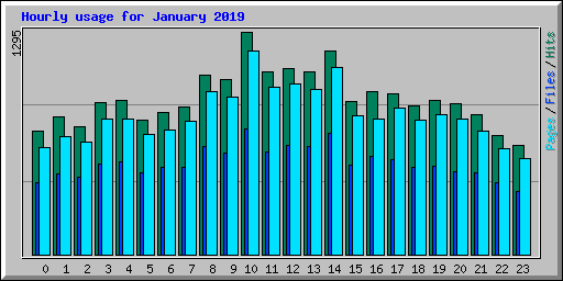 Hourly usage for January 2019