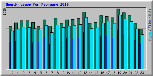 Hourly usage for February 2019