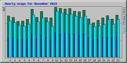 Hourly usage for November 2019