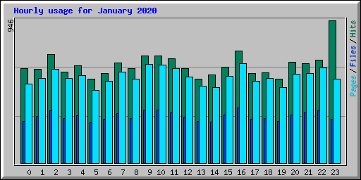 Hourly usage for January 2020