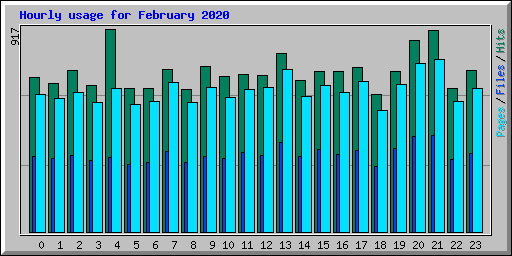 Hourly usage for February 2020