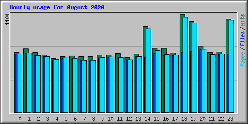 Hourly usage for August 2020