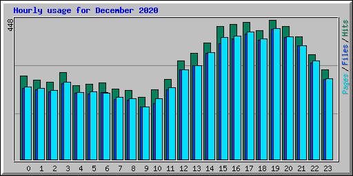 Hourly usage for December 2020