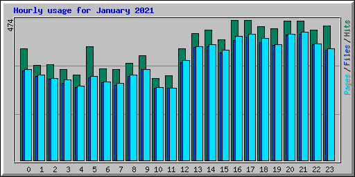 Hourly usage for January 2021