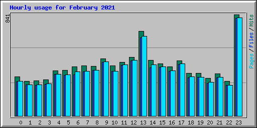 Hourly usage for February 2021