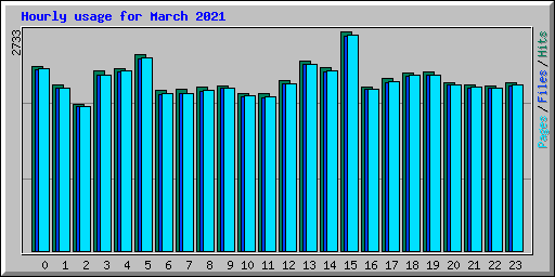 Hourly usage for March 2021