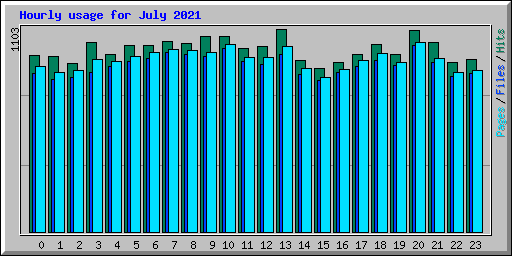 Hourly usage for July 2021