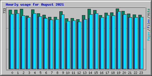 Hourly usage for August 2021